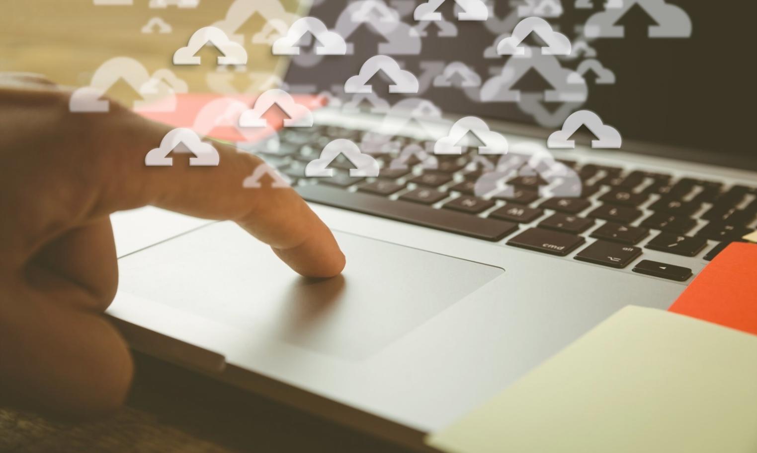 Aufbau einer nachhaltigen Online-Präsenz